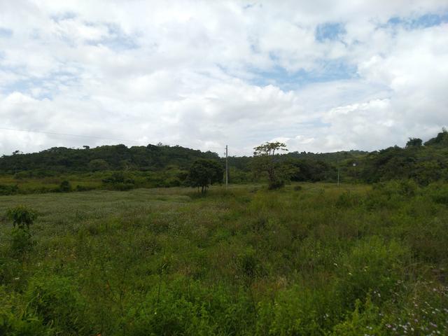 Terreno em Bonito
