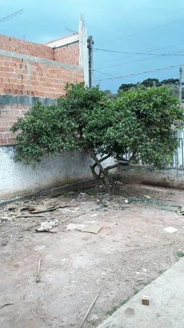 Terreno 10mx20m no Tatuquara - Foto 9