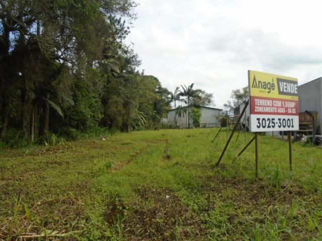 Terreno para alugar em Pirabeiraba, Joinville cod:00444.007 - Foto 8