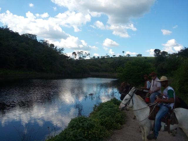 Mundo Novo Fazenda - Foto 11
