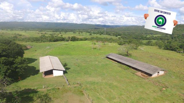 Fazenda 1.040 ha acorizal - Foto 3