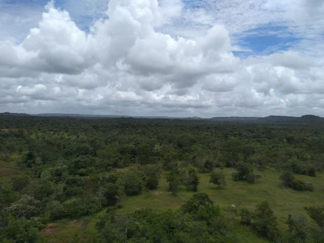 Propriedade Rural de 548 hectares de Mata e Cerrado - Foto 4