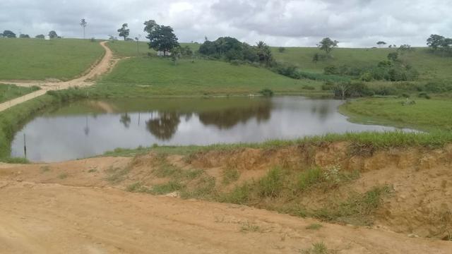 Fazenda a venda no extremo sul da bahia 170 ha - Foto 6