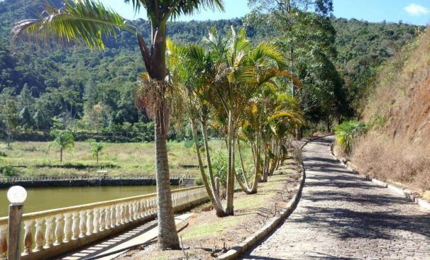 Sítio rural à venda, Providência, Teresópolis. - Foto 11