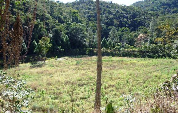 Sítio rural à venda, Providência, Teresópolis. - Foto 16
