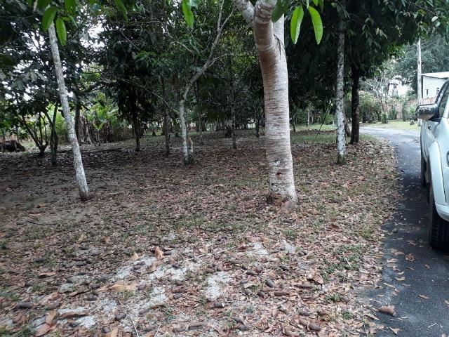 Sítio estrada do Vivenda Verde com casa e loja de material de construção - Foto 5