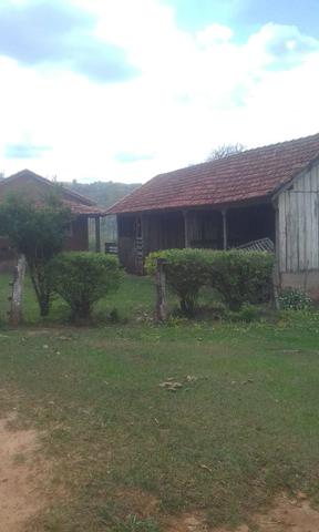 Fazenda Agricultura e Pecuária-Completa Arrendamento - Foto 19
