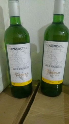 Vinhos de Mesa