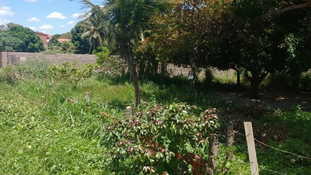 Vendo terreno no peçem 34 por 44 de fundos  - Foto 2