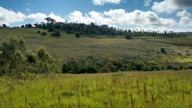 Fazenda em Amargosa-Ba - Foto 4