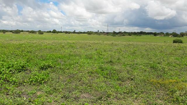 Fazenda com 170 hectares na região de monte alegre - Foto 16