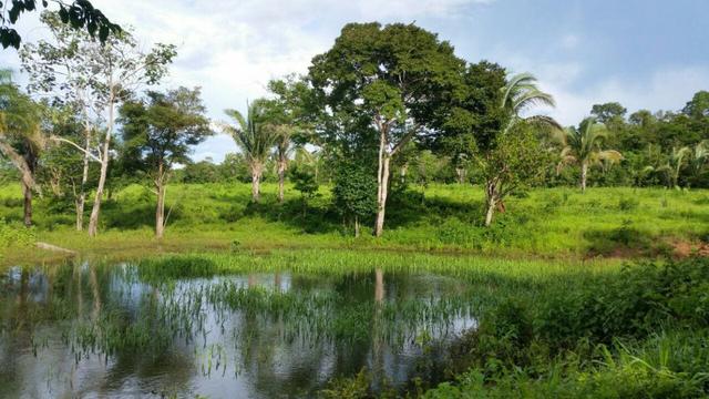 Fazenda em Rosario Oeste - 457ha - Foto 10