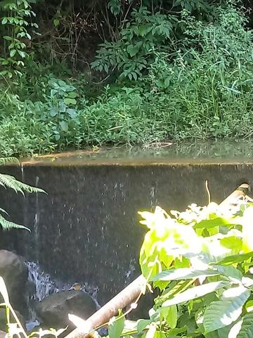 Fazenda Sao Jose - Foto 7