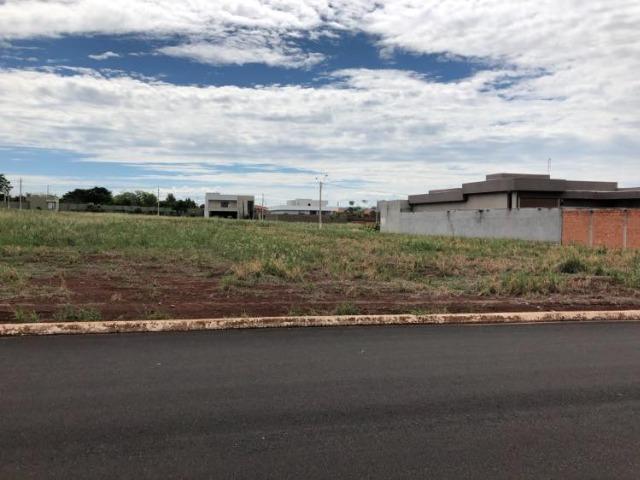 Terreno Condomínio Vila Nova Jerusalém - Jardinópolis - Foto 2
