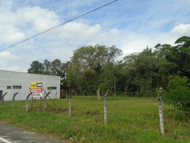 Terreno para alugar em Pirabeiraba, Joinville cod:00444.008 - Foto 11