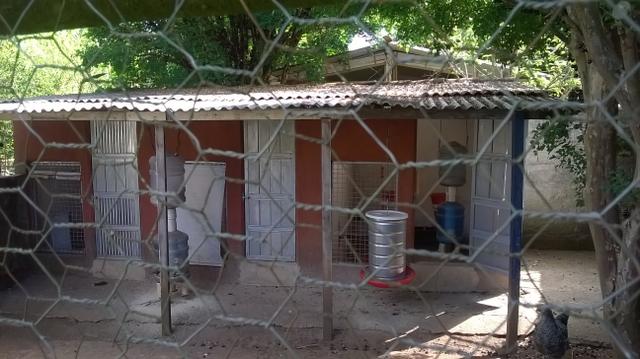 Sitio rio manso - Foto 11