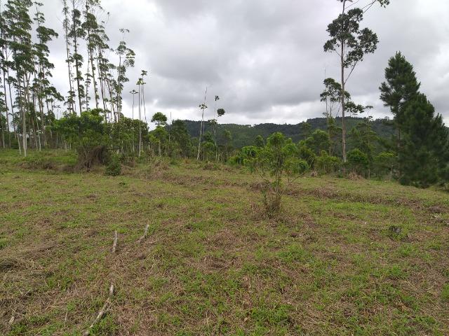 Permuta terreno para chacrinha de 6 mil medindo 30 x 200 de fundos - Foto 15