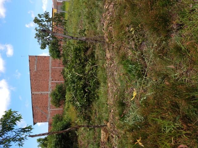 Terreno em marechal Deodoro - Foto 3