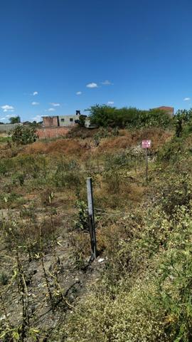 Terreno próximo ao parque dos arcos - Foto 3