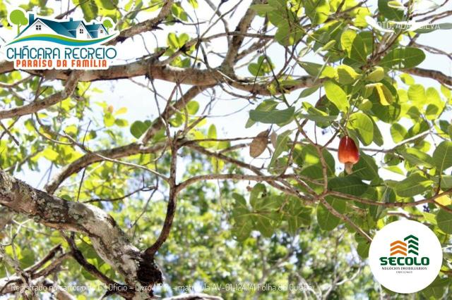 Chácara de recreio paraíso da família - Foto 11