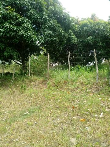 Terreno - Foto 5