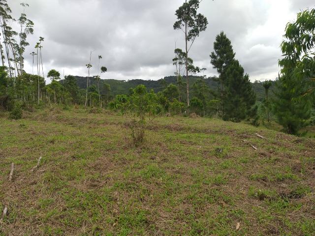 Permuta terreno para chacrinha de 6 mil medindo 30 x 200 de fundos - Foto 17