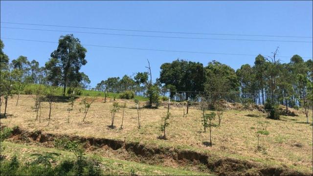 Venha para melhores terreno vc encontra aqui,corra! - Foto 5