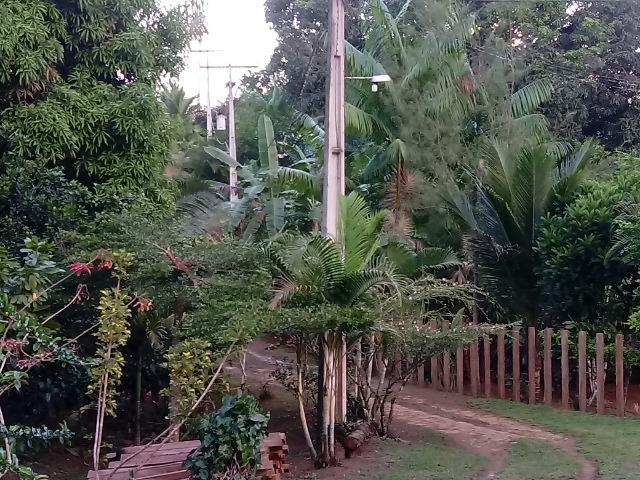 Fazenda Sao Jose - Foto 5
