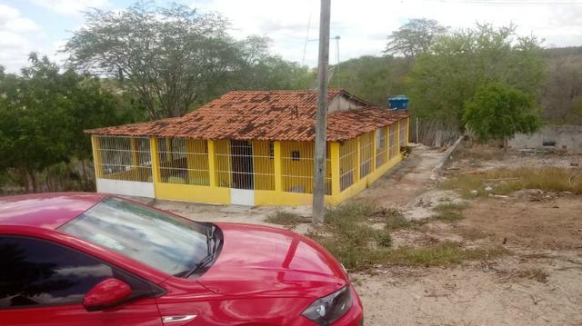 Ótima propriedade de 2.5 hectares, com casa sede, em Avencas de Cima-PE - Foto 4