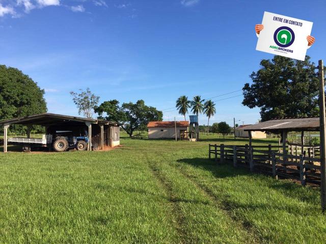 Fazenda em nossa senhora do livramento - Foto 2