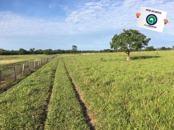 Fazenda em nossa senhora do livramento - Foto 5