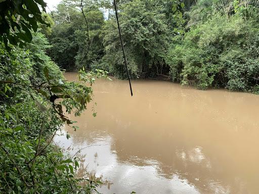 Sítio 31 ha. acorizal beira do rio - Foto 7