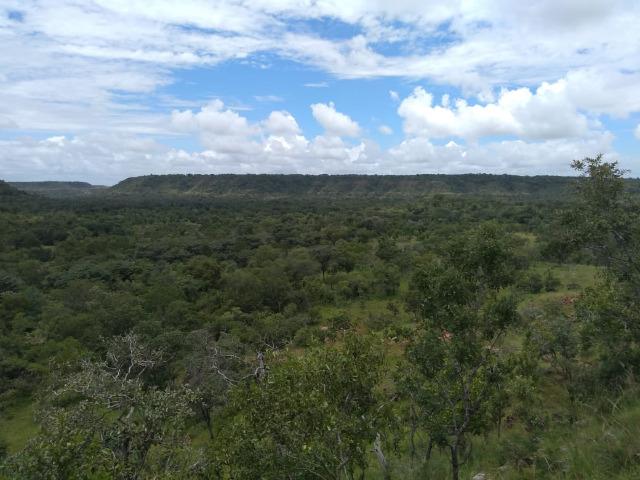 Propriedade Rural de 548 hectares de Mata e Cerrado