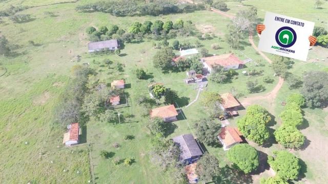 Fazenda 1.040 ha acorizal