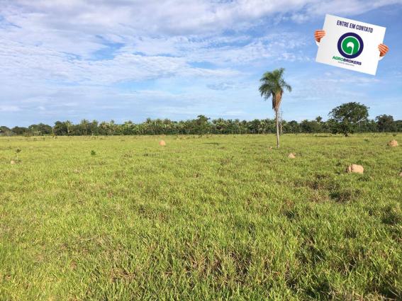 Fazenda em nossa senhora do livramento - Foto 3