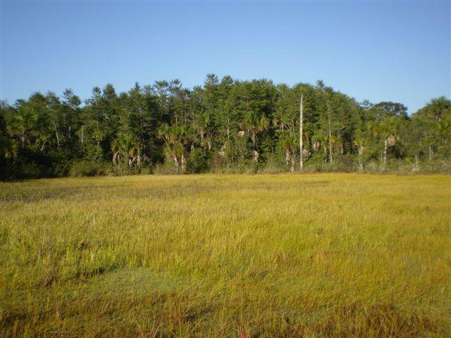 Fazenda dupla aptidão Arinos MG - Foto 11