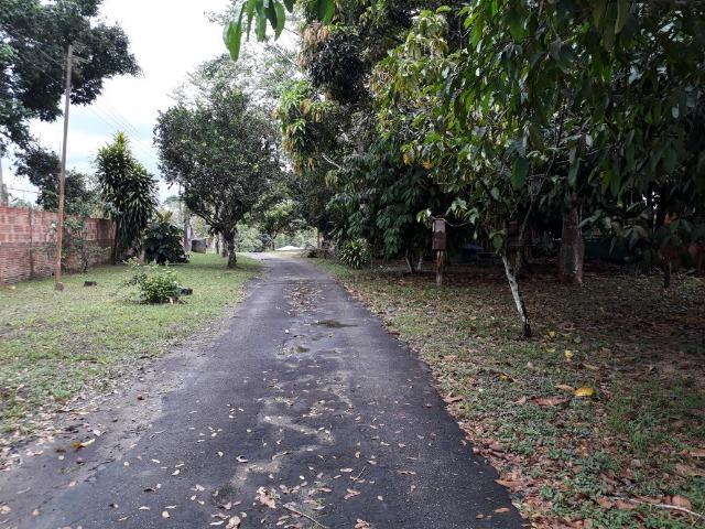 Sítio estrada do Vivenda Verde com casa e loja de material de construção - Foto 4