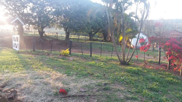 Fazenda Agricultura e Pecuária-Completa Arrendamento - Foto 12