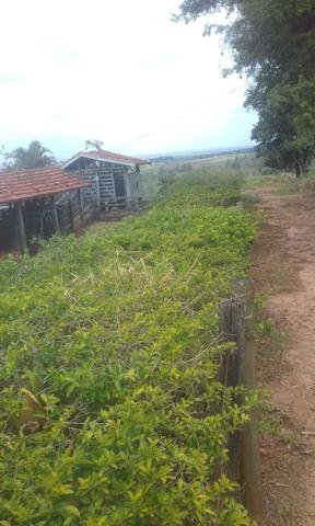 Fazenda Agricultura e Pecuária-Completa Arrendamento - Foto 10