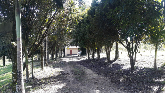 Sítio 7 alqueires - Foto 5