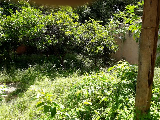 Vendo casa em Formosa Goiás - Foto 4