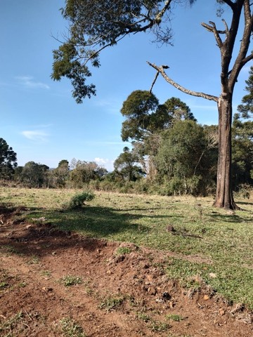 Chácara de 2 hectares à venda - Foto 3