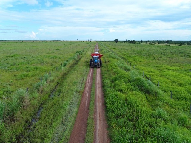 Fazenda de 501 alqueires em Peixe-TO - Foto 4