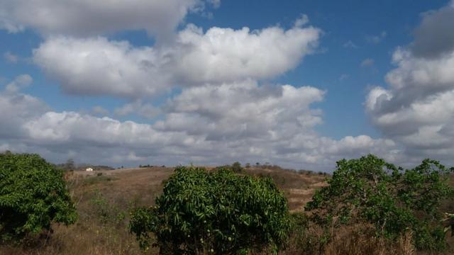 Ótima propriedade, escriturada, de 6 hectares, rica em frutas, em Glória do Goitá-PE - Foto 5