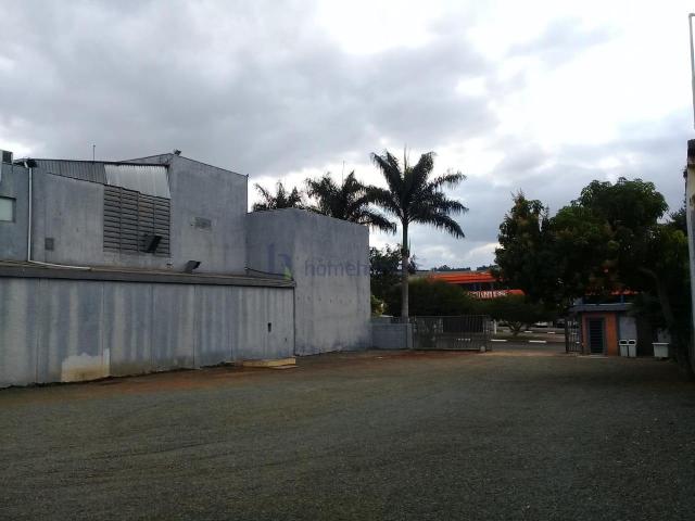 Terreno para alugar em Jardim conceição (sousas), Campinas cod:TE012242 - Foto 5