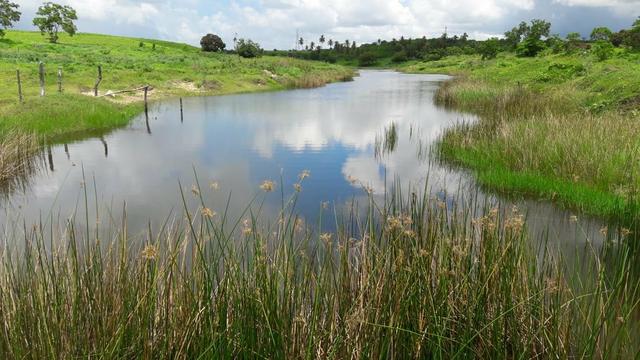 Fazenda com 170 hectares na região de monte alegre - Foto 6