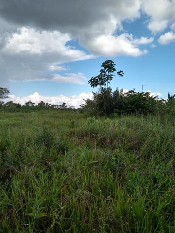 Terreno em Santa Rosa - Foto 3