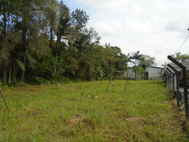 Terreno para alugar em Pirabeiraba, Joinville cod:00444.007 - Foto 9