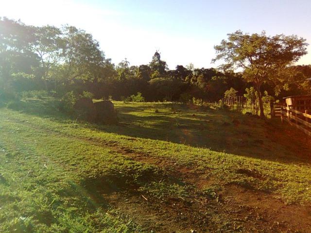 Vendo-Troco Sítio (área de terra rural) entre Leópolis e Cornélio Procópio PR - Foto 2