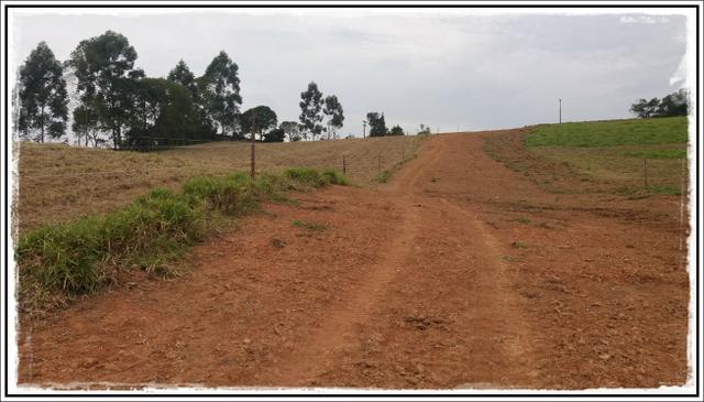 Negociação diretamente com proprietário - Foto 6